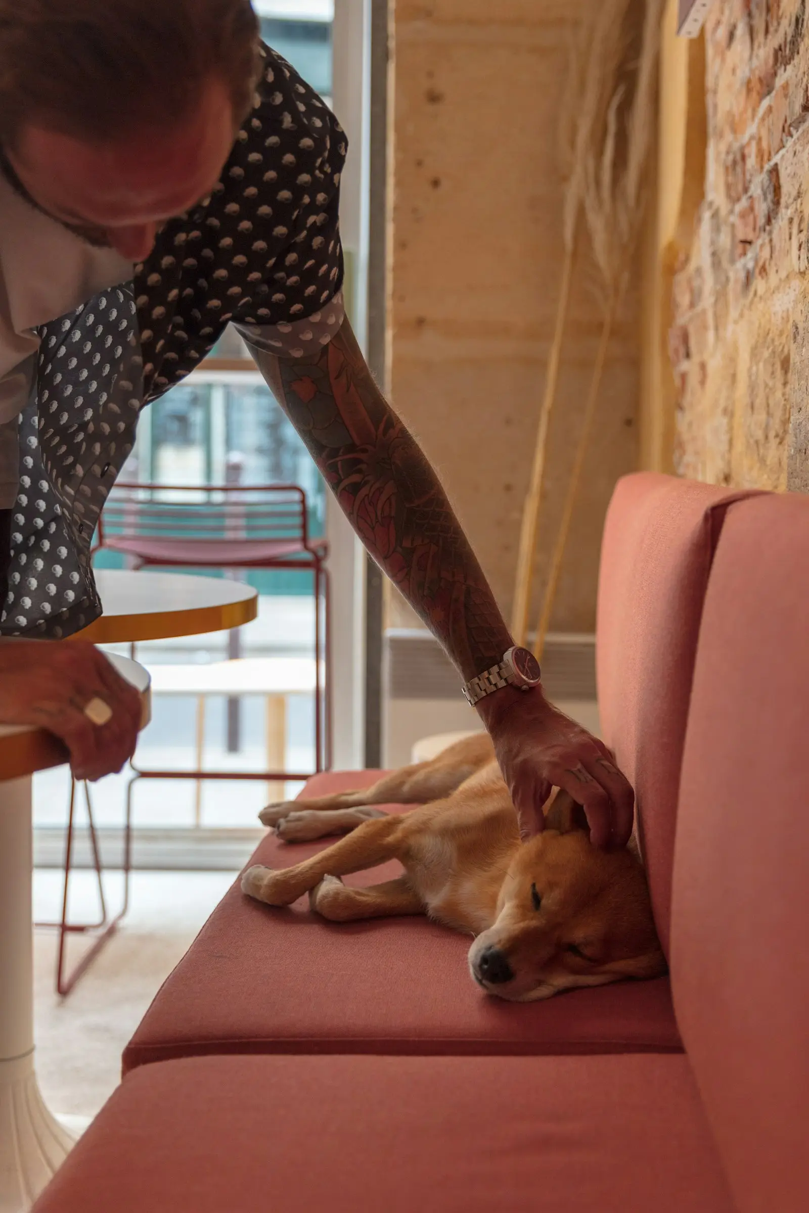 A person gently petting their dog at home